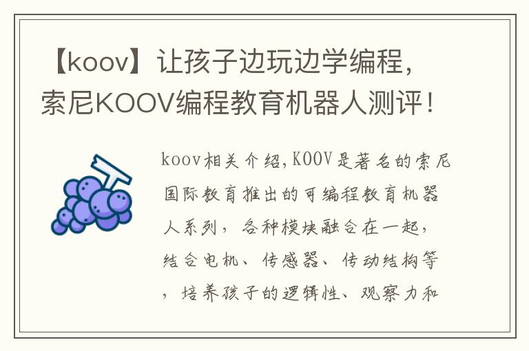 【koov】讓孩子邊玩邊學編程，索尼KOOV編程教育機器人測評！