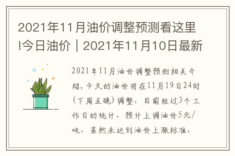 2021年11月油價(jià)調(diào)整預(yù)測看這里!今日油價(jià)｜2021年11月10日最新油價(jià)，92、95汽油與0號(hào)柴油價(jià)格