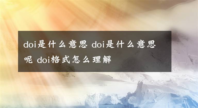 doi是什么意思 doi是什么意思呢 doi格式怎么理解