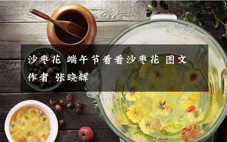 沙棗花 端午節(jié)看看沙棗花 圖文作者 張曉輝