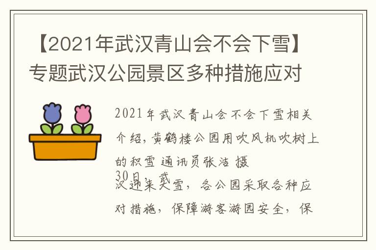 【2021年武漢青山會(huì)不會(huì)下雪】專題武漢公園景區(qū)多種措施應(yīng)對(duì)雪天：吹風(fēng)機(jī)吹樹葉、給化石開暖氣