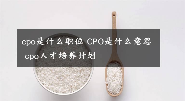 cpo是什么職位 CPO是什么意思 cpo人才培養(yǎng)計(jì)劃