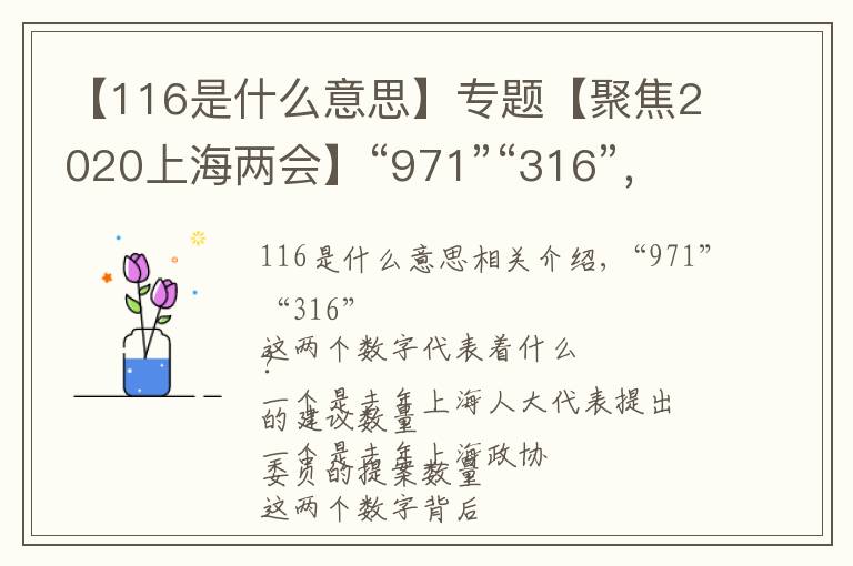 【116是什么意思】專(zhuān)題【聚焦2020上海兩會(huì)】“971”“316”，這兩個(gè)與上海兩會(huì)有關(guān)的數(shù)字背后有怎樣的故事？