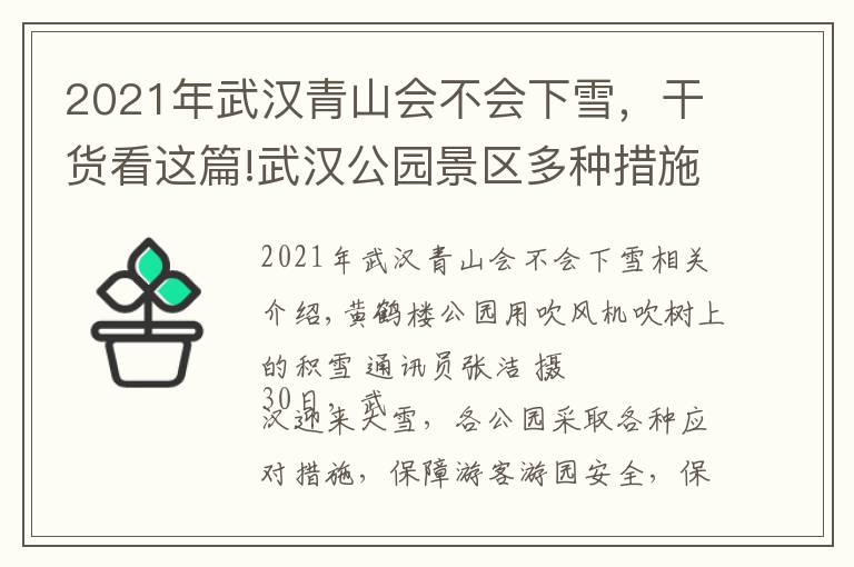 2021年武漢青山會(huì)不會(huì)下雪，干貨看這篇!武漢公園景區(qū)多種措施應(yīng)對(duì)雪天：吹風(fēng)機(jī)吹樹葉、給化石開暖氣