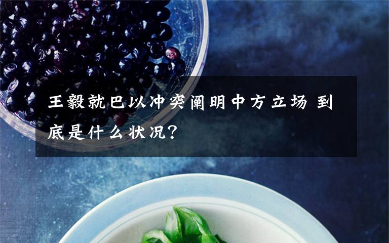 王毅就巴以沖突闡明中方立場 到底是什么狀況？