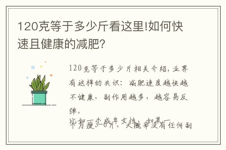 120克等于多少斤看這里!如何快速且健康的減肥？