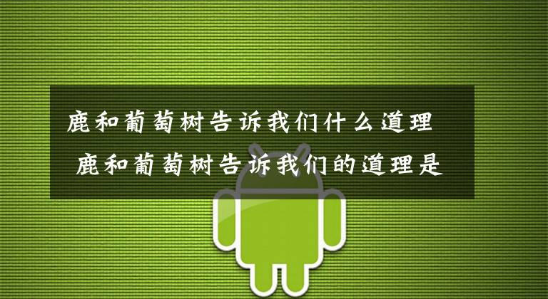 鹿和葡萄樹告訴我們什么道理 鹿和葡萄樹告訴我們的道理是什么 啄木鳥和樹的故事告訴我們什么