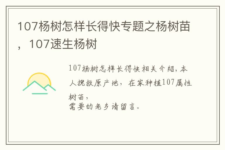 107楊樹怎樣長得快專題之楊樹苗，107速生楊樹