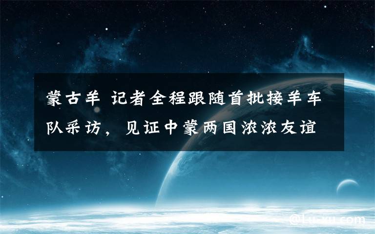 蒙古羊 記者全程跟隨首批接羊車隊采訪，見證中蒙兩國濃濃友誼，蒙古國捐贈羊入漢記