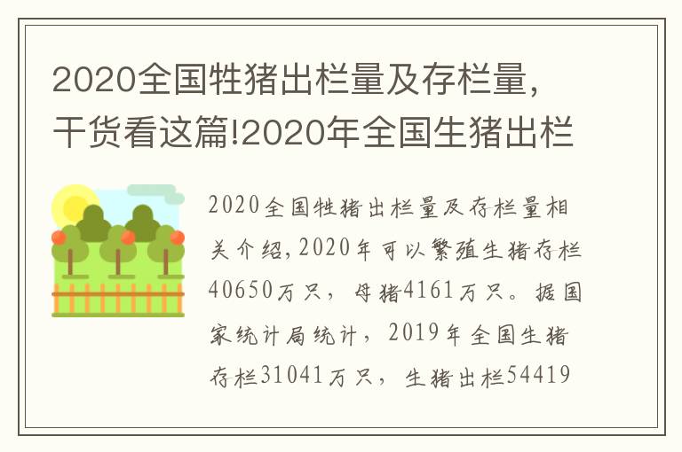 2020全國牲豬出欄量及存欄量，干貨看這篇!2020年全國生豬出欄52704萬頭，比上年下降3.2%