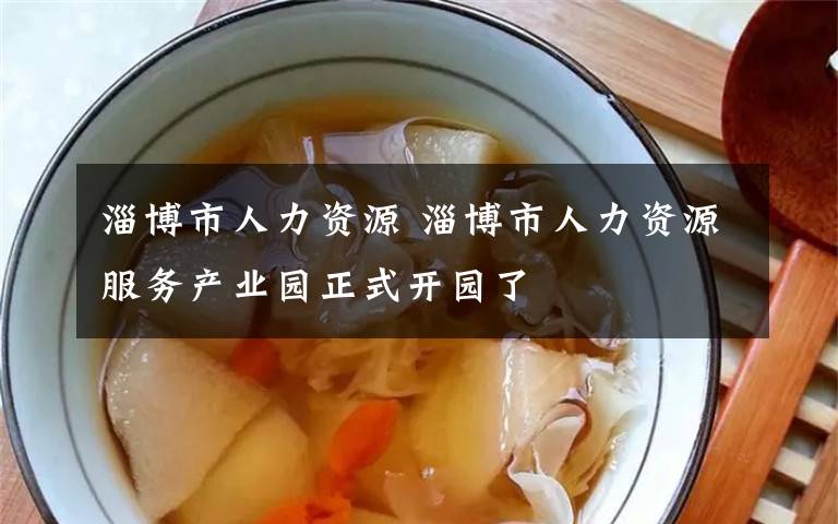 淄博市人力資源 淄博市人力資源服務(wù)產(chǎn)業(yè)園正式開園了