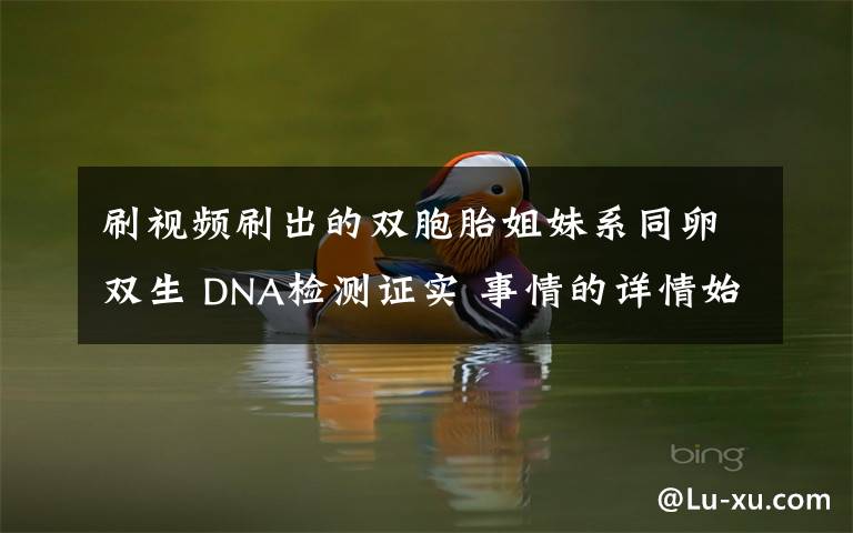 刷視頻刷出的雙胞胎姐妹系同卵雙生 DNA檢測證實 事情的詳情始末是怎么樣了！