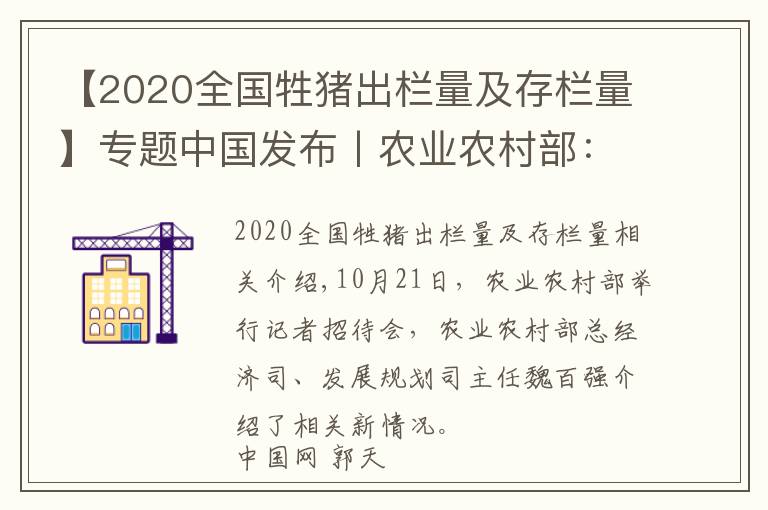 【2020全國牲豬出欄量及存欄量】專題中國發(fā)布丨農(nóng)業(yè)農(nóng)村部：截至9月底全國生豬存欄達3.7億頭