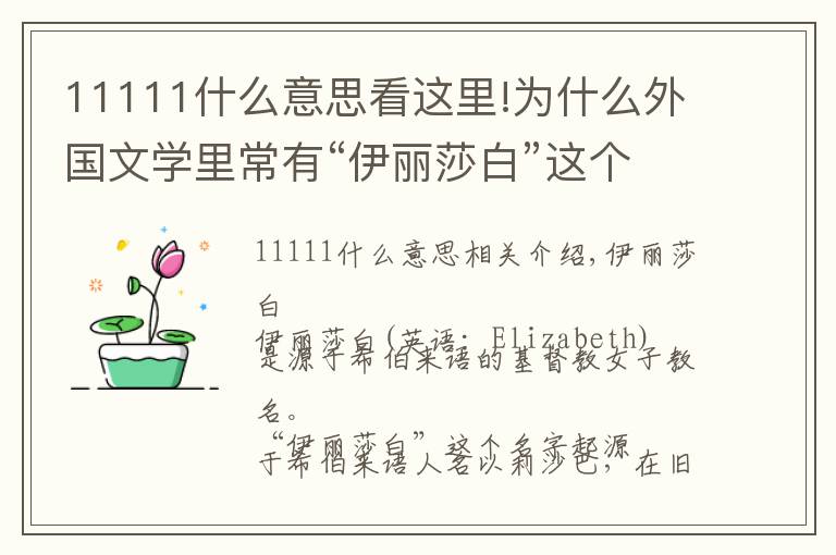 11111什么意思看這里!為什么外國文學(xué)里常有“伊麗莎白”這個(gè)名字？伊麗莎白含義是什么