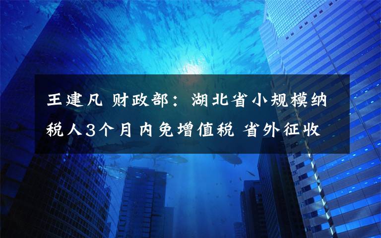 王建凡 財政部：湖北省小規(guī)模納稅人3個月內(nèi)免增值稅 省外征收率1％