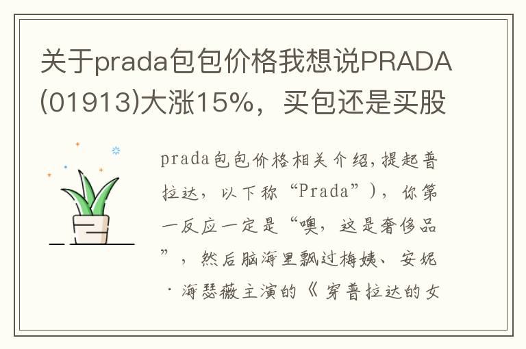 關(guān)于prada包包價(jià)格我想說PRADA(01913)大漲15%，買包還是買股票？