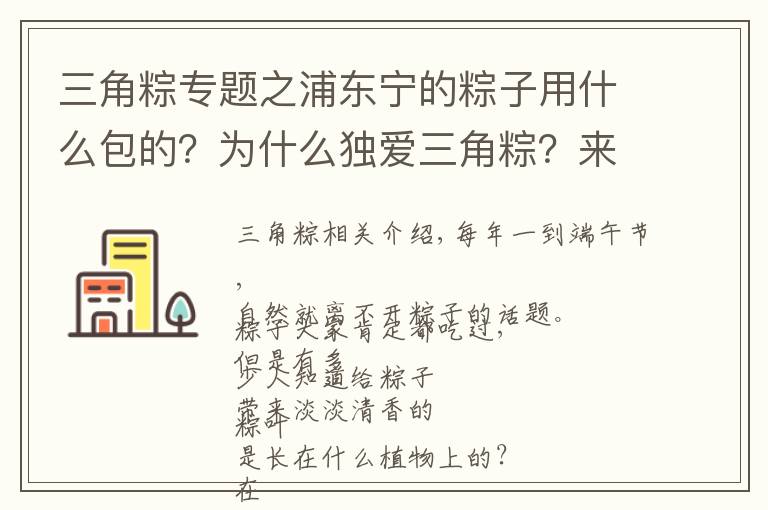 三角粽專題之浦東寧的粽子用什么包的？為什么獨(dú)愛三角粽？來聽民俗專家怎么說