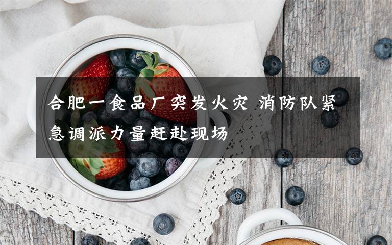 合肥一食品廠突發(fā)火災(zāi) 消防隊(duì)緊急調(diào)派力量趕赴現(xiàn)場(chǎng)