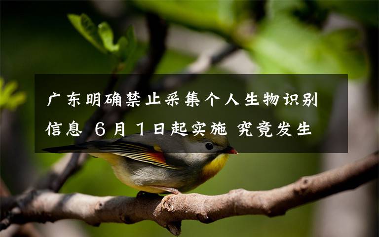 廣東明確禁止采集個人生物識別信息 ６月１日起實施 究竟發(fā)生了什么?