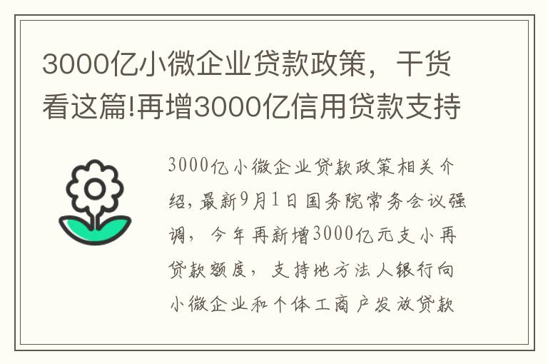 3000億小微企業(yè)貸款政策，干貨看這篇!再增3000億信用貸款支持小微企業(yè)，政策來了您準備好了嗎