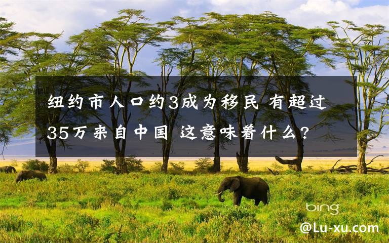 紐約市人口約3成為移民 有超過35萬來自中國 這意味著什么?