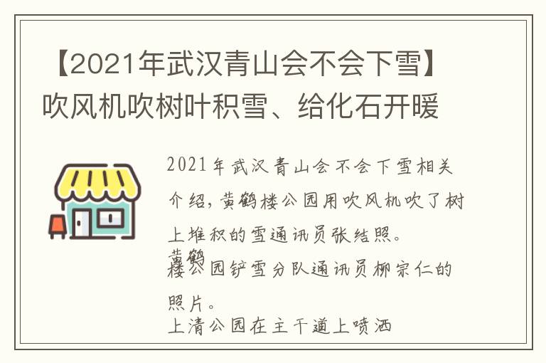 【2021年武漢青山會不會下雪】吹風機吹樹葉積雪、給化石開暖氣…… 武漢公園多種措施應對雪天