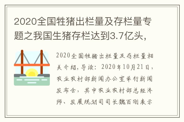 2020全國牲豬出欄量及存欄量專題之我國生豬存欄達到3.7億頭，豬價全線跌破15元，養(yǎng)豬戶要慌了