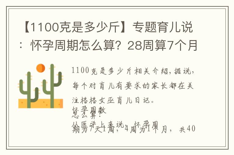 【1100克是多少斤】專(zhuān)題育兒說(shuō)：懷孕周期怎么算？28周算7個(gè)月嗎？