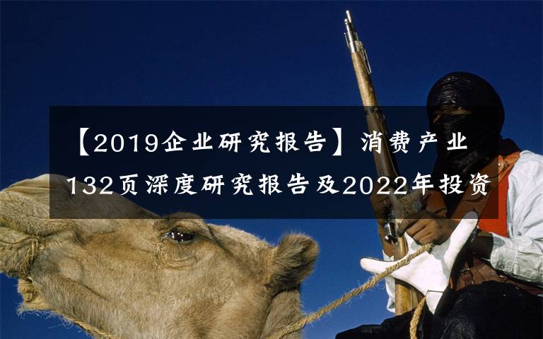 【2019企業(yè)研究報(bào)告】消費(fèi)產(chǎn)業(yè)132頁(yè)深度研究報(bào)告及2022年投資策略