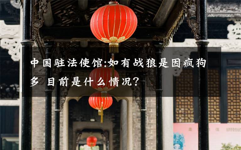 中國(guó)駐法使館:如有戰(zhàn)狼是因瘋狗多 目前是什么情況？