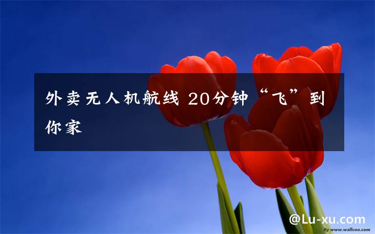 外賣無人機航線 20分鐘“飛”到你家