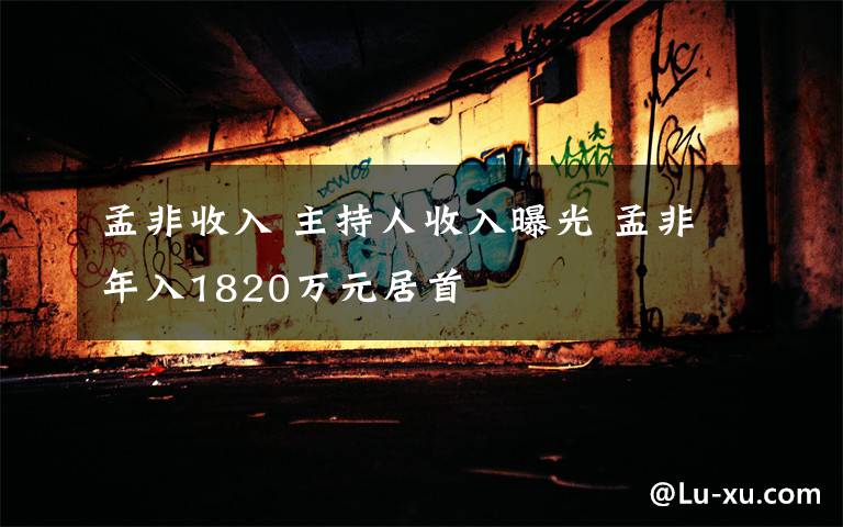 孟非收入 主持人收入曝光 孟非年入1820萬元居首