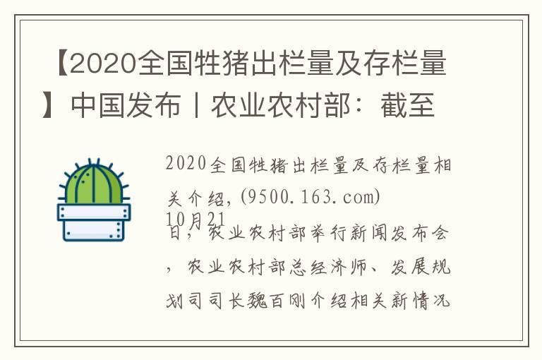 【2020全國牲豬出欄量及存欄量】中國發(fā)布丨農(nóng)業(yè)農(nóng)村部：截至9月底全國生豬存欄達3.7億頭