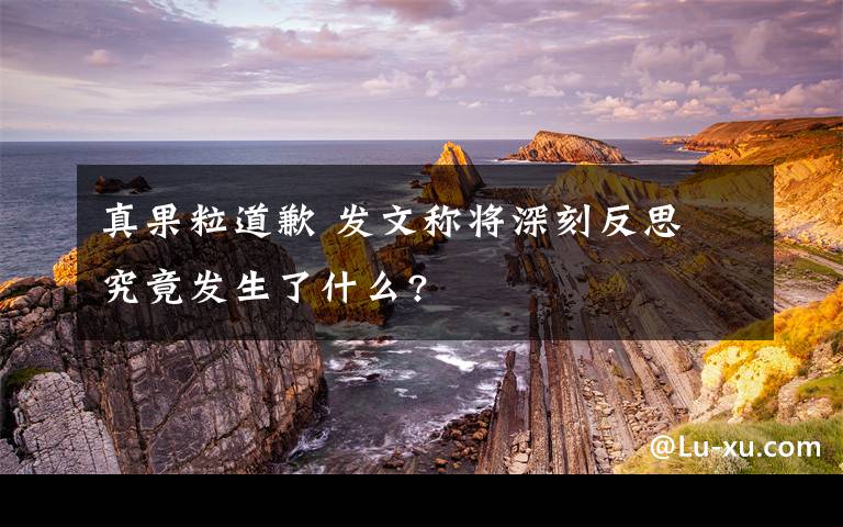 真果粒道歉 發(fā)文稱將深刻反思 究竟發(fā)生了什么?