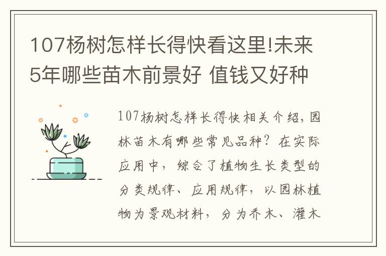 107楊樹怎樣長得快看這里!未來5年哪些苗木前景好 值錢又好種植