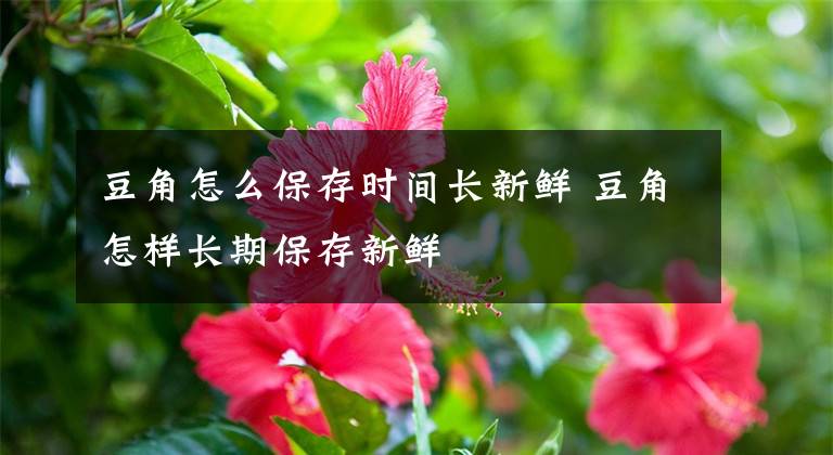 豆角怎么保存時(shí)間長(zhǎng)新鮮 豆角怎樣長(zhǎng)期保存新鮮