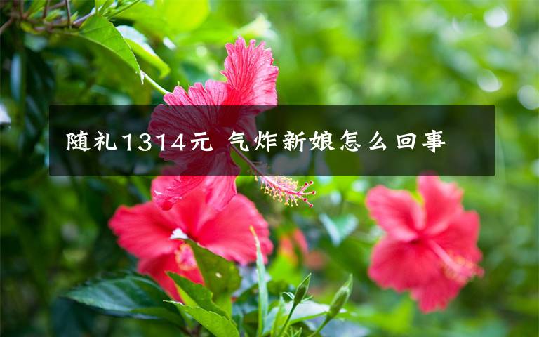 隨禮1314元 氣炸新娘怎么回事