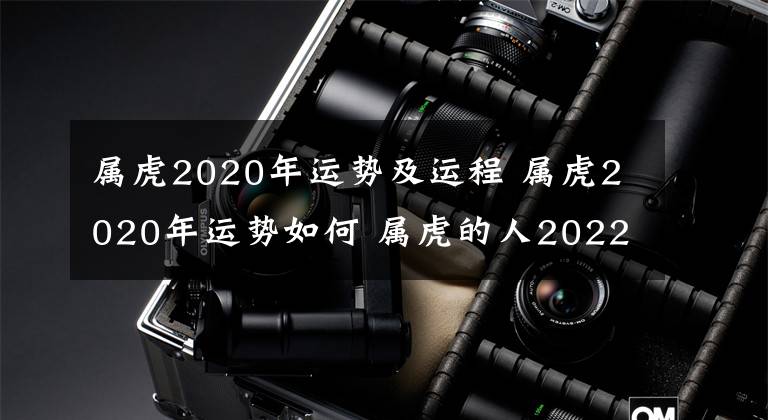 屬虎2020年運勢及運程 屬虎2020年運勢如何 屬虎的人2022每月運勢