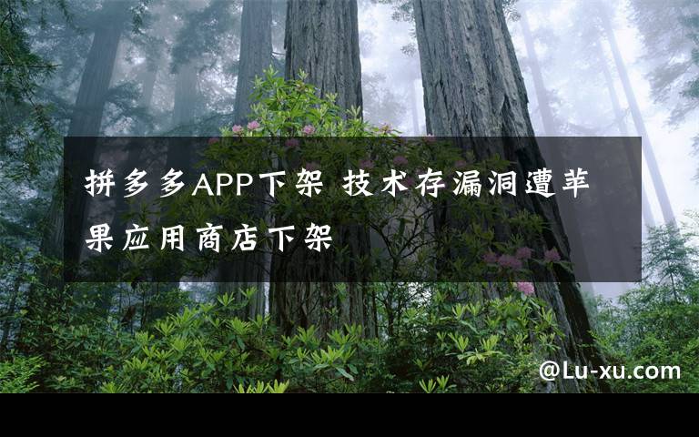 拼多多APP下架 技術(shù)存漏洞遭蘋果應(yīng)用商店下架