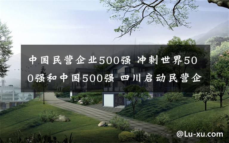 中國民營企業(yè)500強 沖刺世界500強和中國500強 四川啟動民營企業(yè)培育計劃