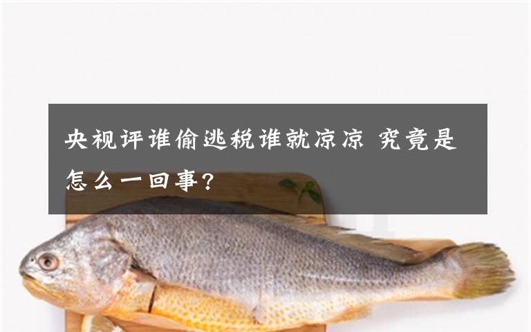 央視評誰偷逃稅誰就涼涼 究竟是怎么一回事?