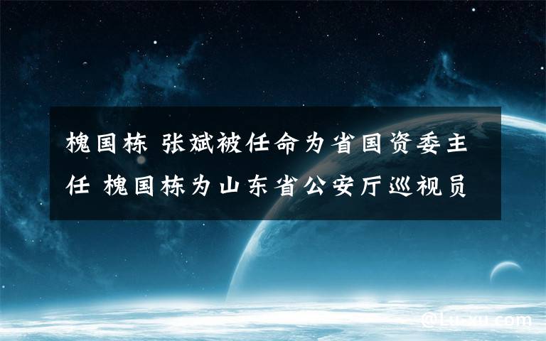 槐國棟 張斌被任命為省國資委主任 槐國棟為山東省公安廳巡視員