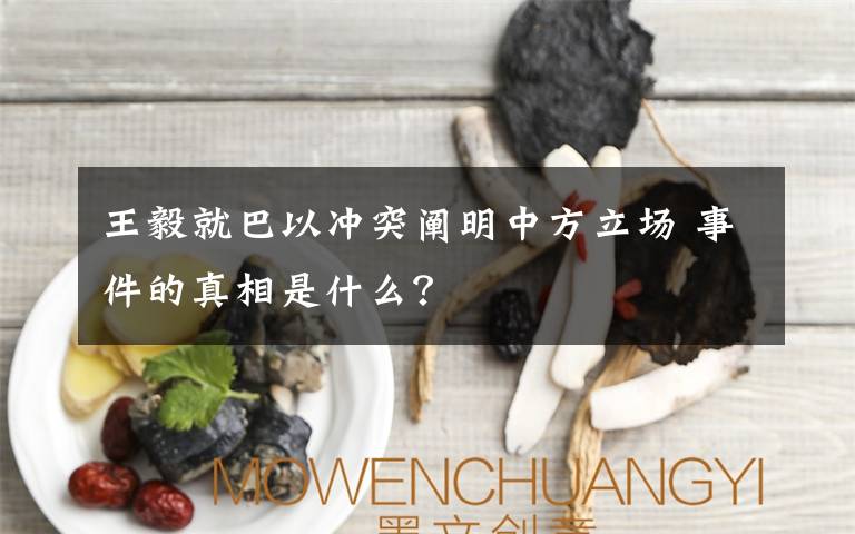 王毅就巴以沖突闡明中方立場 事件的真相是什么？