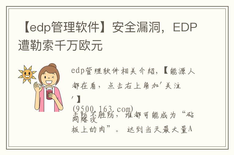 【edp管理軟件】安全漏洞，EDP遭勒索千萬歐元