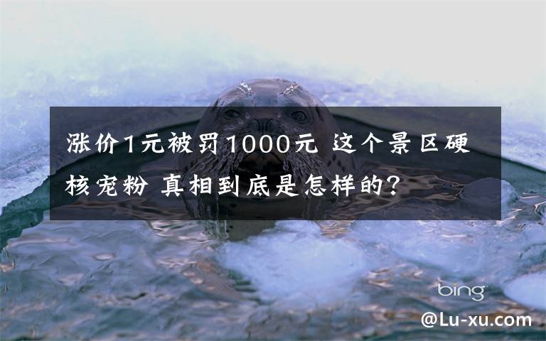 漲價(jià)1元被罰1000元 這個(gè)景區(qū)硬核寵粉 真相到底是怎樣的？