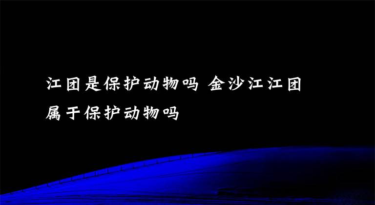 江團是保護動物嗎 金沙江江團屬于保護動物嗎