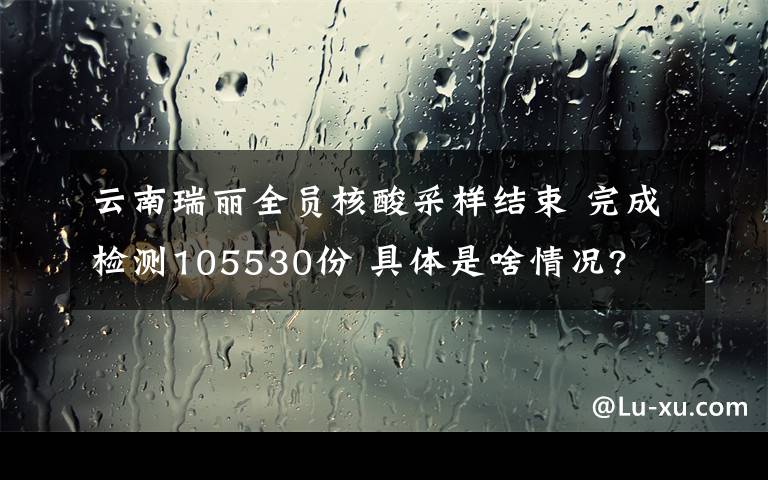 云南瑞麗全員核酸采樣結(jié)束 完成檢測(cè)105530份 具體是啥情況?