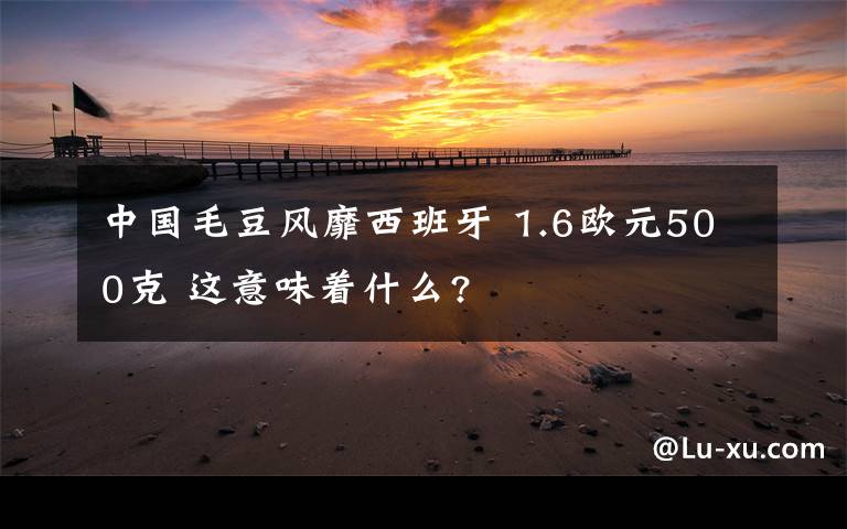 中國毛豆風靡西班牙 1.6歐元500克 這意味著什么?