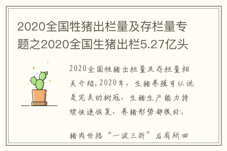 2020全國(guó)牲豬出欄量及存欄量專題之2020全國(guó)生豬出欄5.27億頭，13家豬企占比10.53%