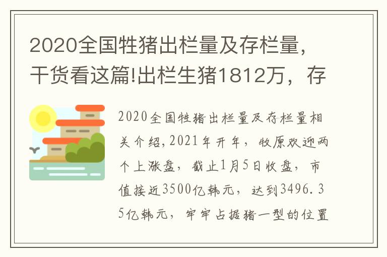 2020全國牲豬出欄量及存欄量，干貨看這篇!出欄生豬1812萬，存欄母豬262萬…牧原穩(wěn)居養(yǎng)豬一哥